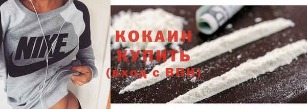 ГАЛЛЮЦИНОГЕННЫЕ ГРИБЫ Костерёво