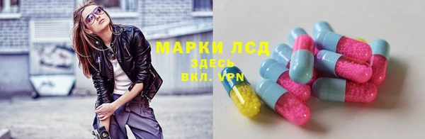 дживик Корсаков