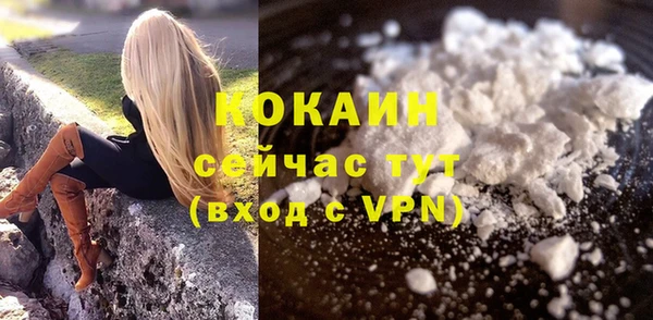 бошки Коряжма