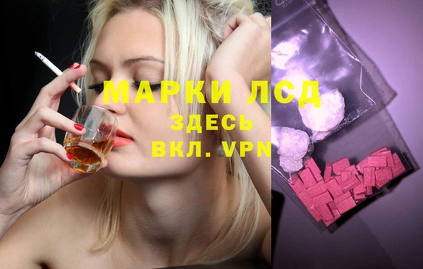 дживик Корсаков