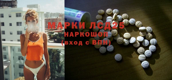 дживик Корсаков