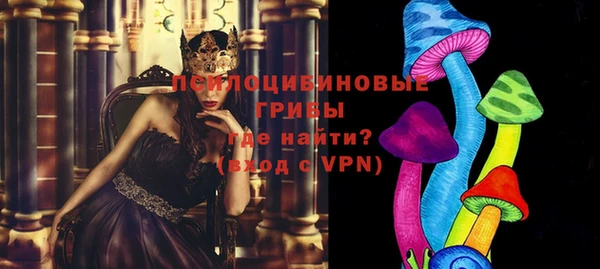 бошки Коряжма